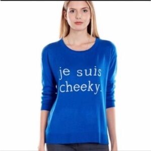 Joie Je Suis Cheeky Blue Sweater